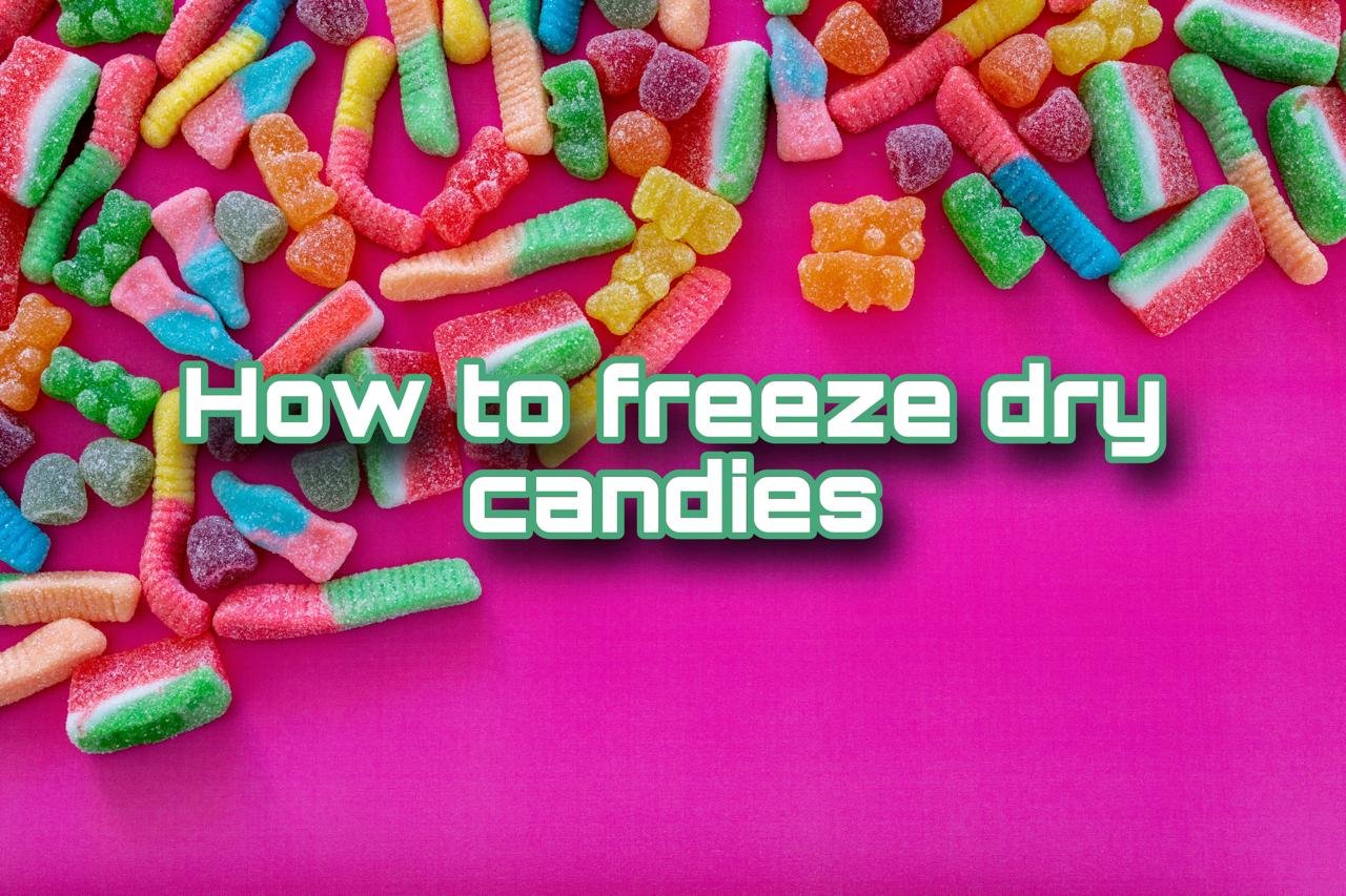 image of How to freeze dry candies