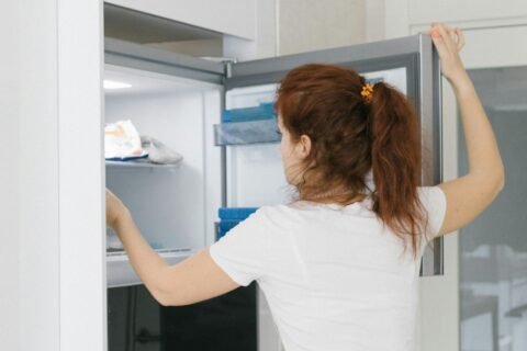 image dor the article how long does a freezer take to get cold